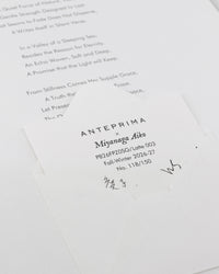 AIKO MIYANAGA - WIRE ORGANZA STANDARD MINIATURA