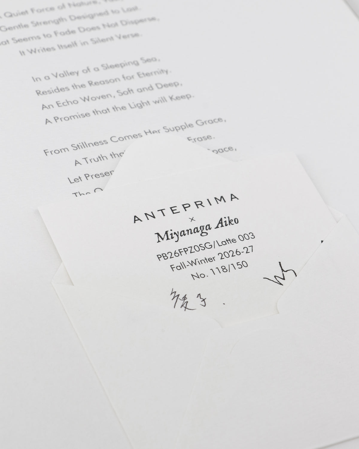 AIKO MIYANAGA - WIRE ORGANZA STANDARD MINIATURA