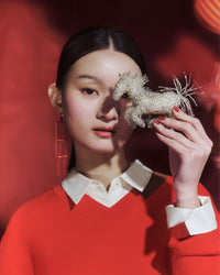 ANIMALE CAVALIO - HORSE