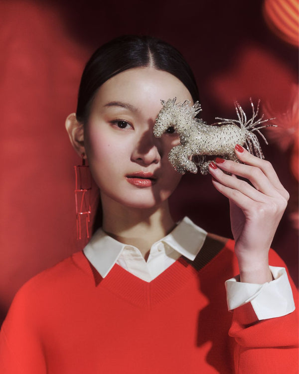 ANIMALE CAVALIO - HORSE